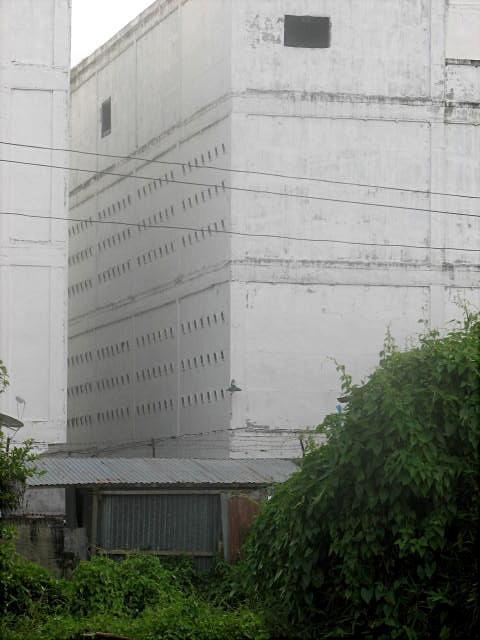 画像を等倍で表示します 画像