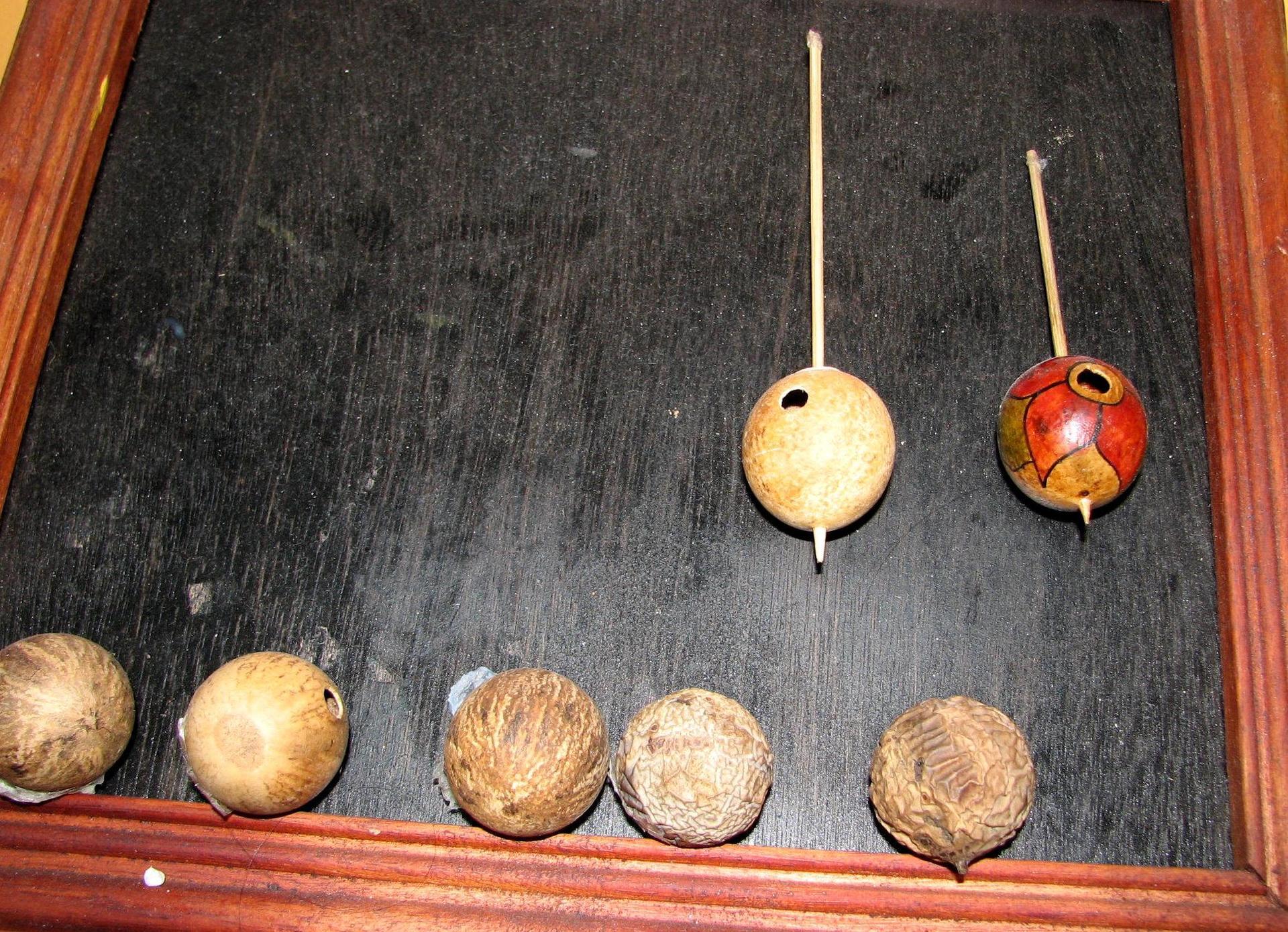 インドネシア・ジャワ島産の樹木化石製の伝統コマ（F）