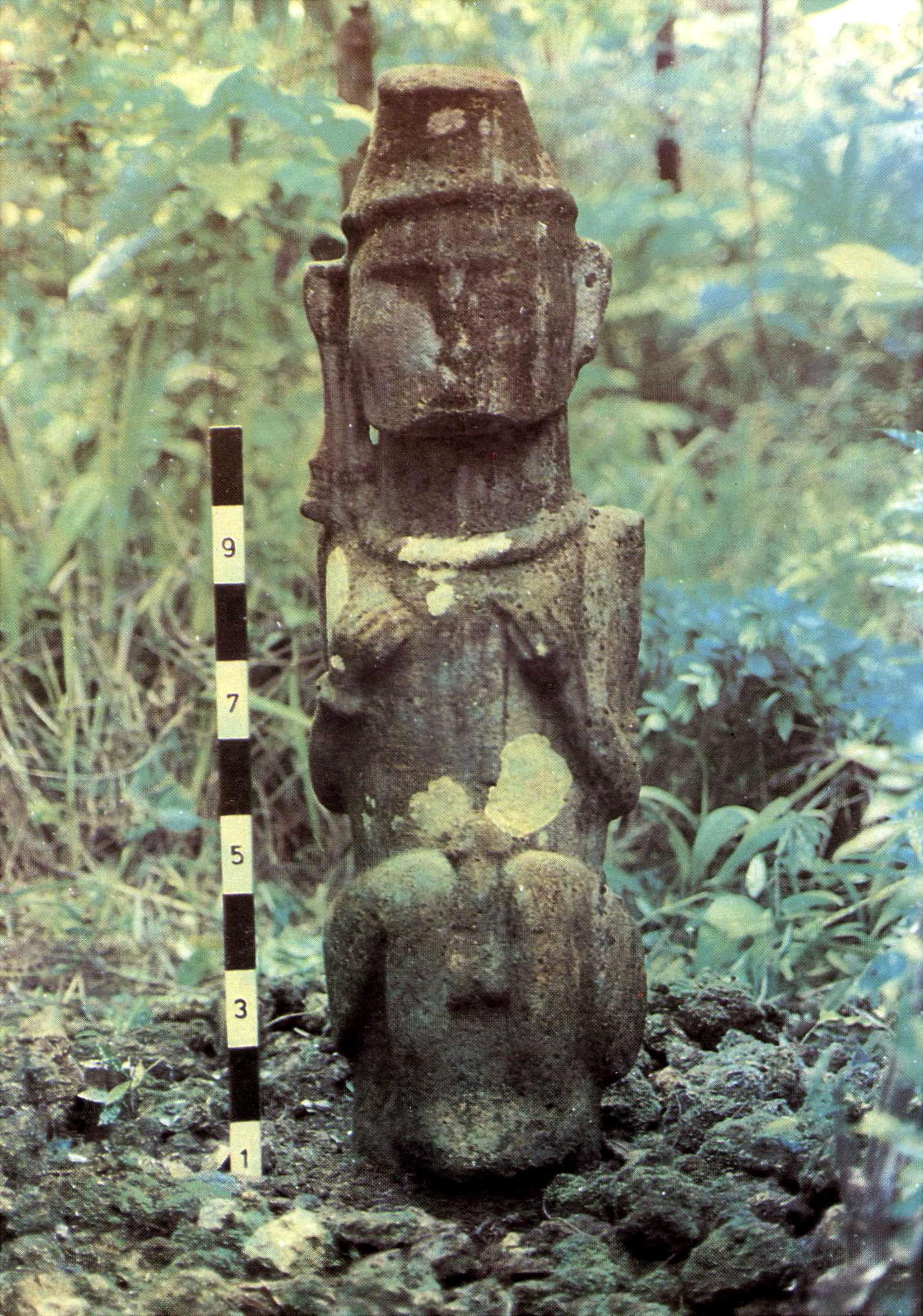 画像を等倍で表示します 画像